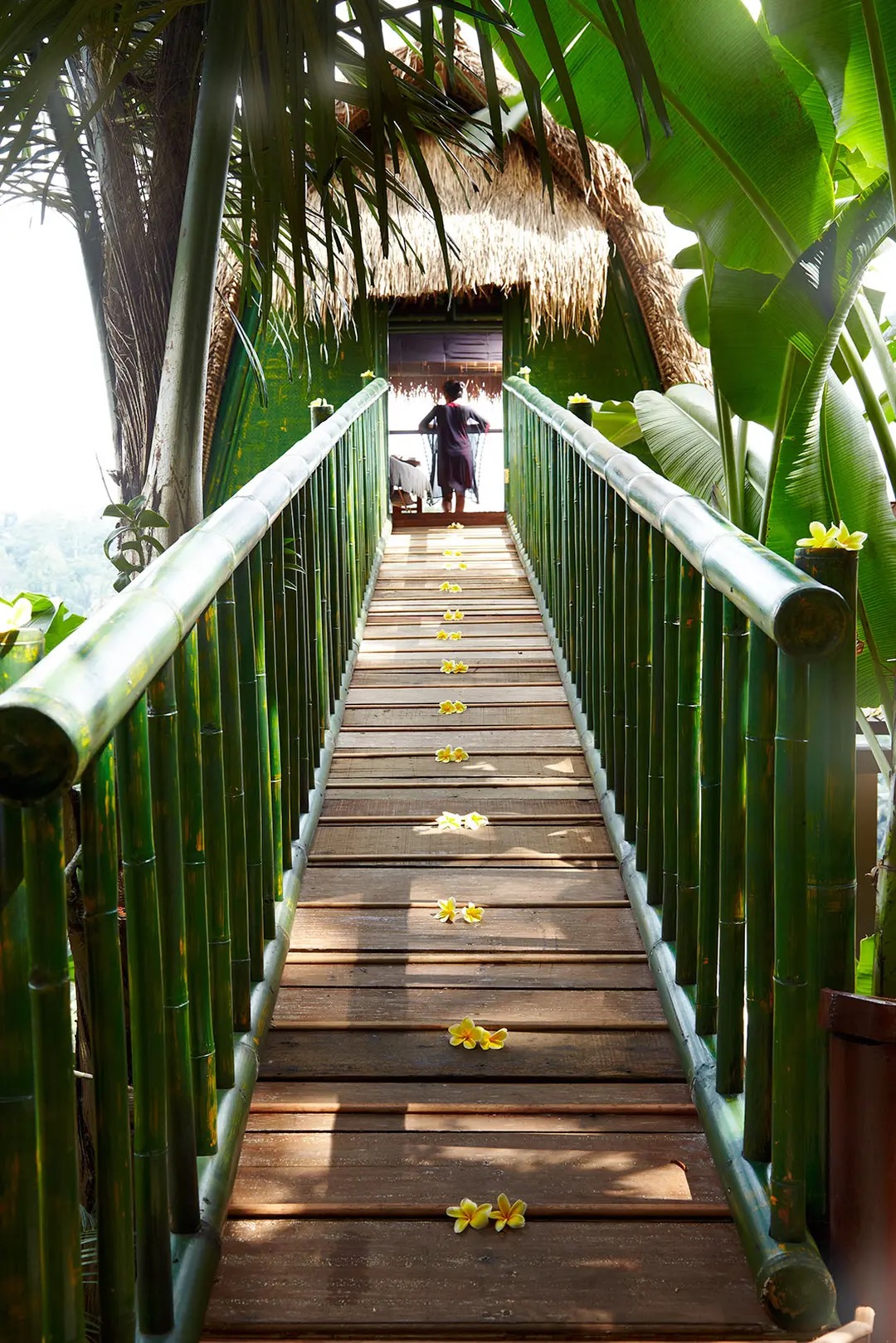 Bamboo bridge entrance to Mango Tree Spa